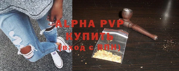 гашик Новодвинск